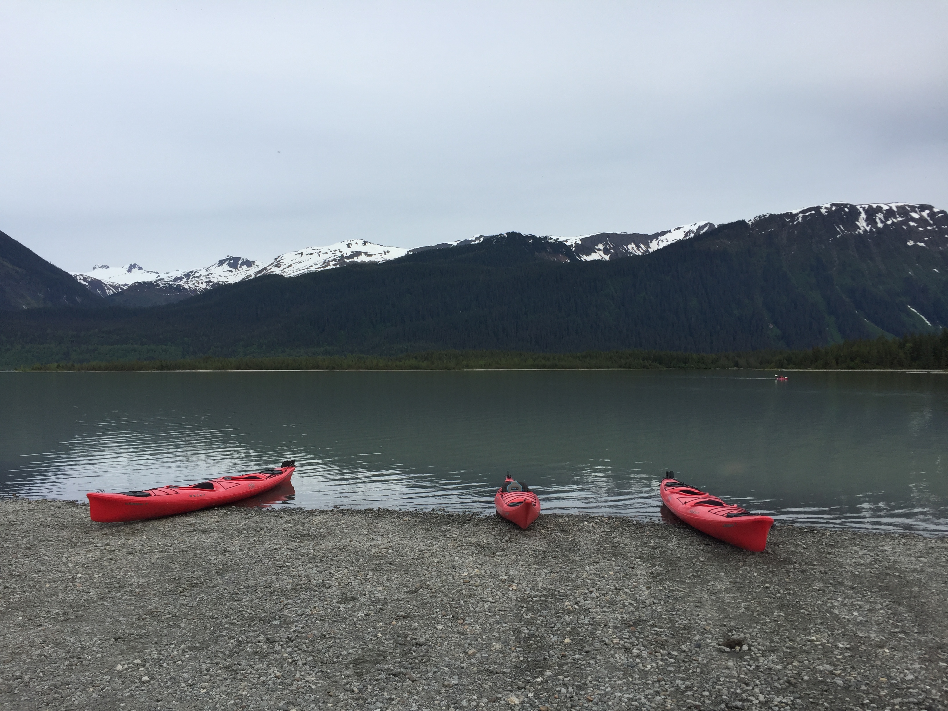 ./2017/08 - Alaska Cruise/08 - Juneau/IMG_0904.JPG